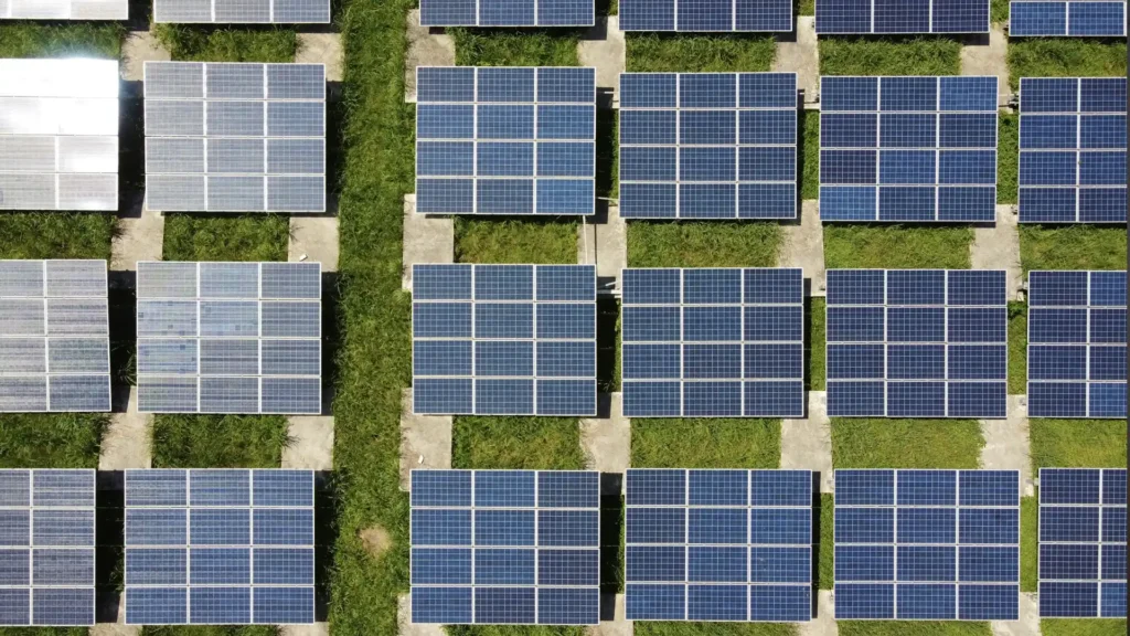 Asil Ersoydan founder